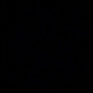 Meet your Posher, Anise